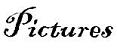 Click here for pictures of the pirates